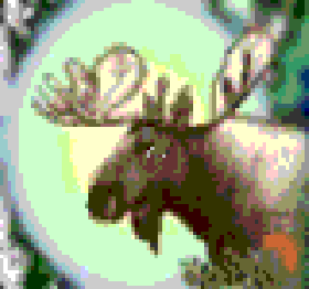 Elch-vat.gif